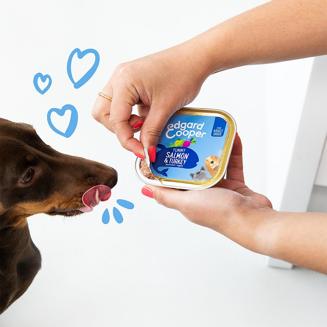 Edgard & Cooper Adult Hondenvoer Kuipjes Zalm & Kalkoen