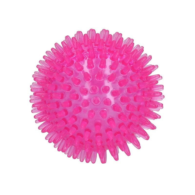 Dog Comets Exoplanet Egelbal Hond Roze M