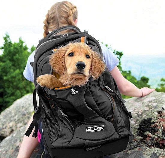 Kurgo G-Train Pack Rugzak Hond