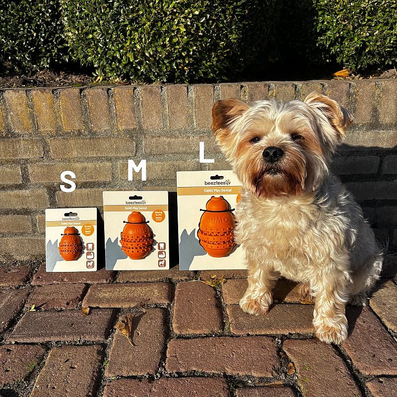 Beeztees Sumo Play Dental Hond