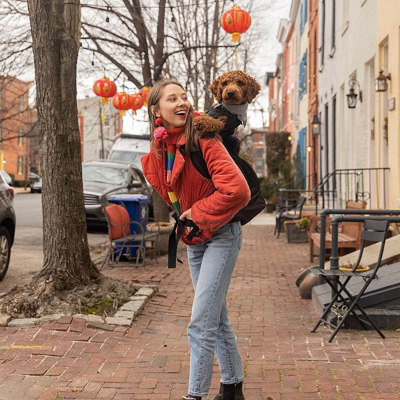 K9 Sport Sack® Air 2 Rugzak Hond