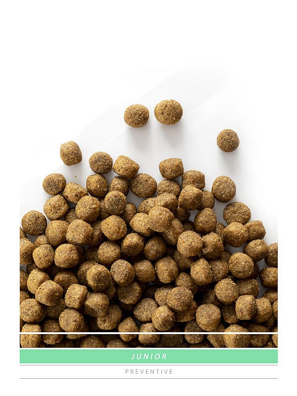 Sanimed Junior Hond: Voeding voor Jonge Honden - Alle Rassen - 5-15 maanden