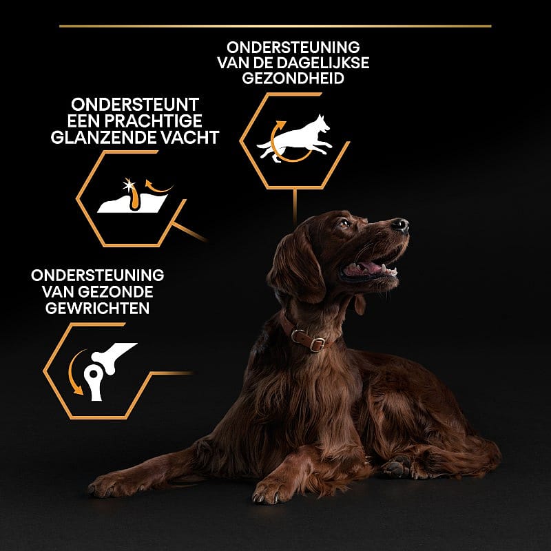 Purina Pro Plan Large Athletic Adult Everyday Nutrition Hondenvoer 14 kg