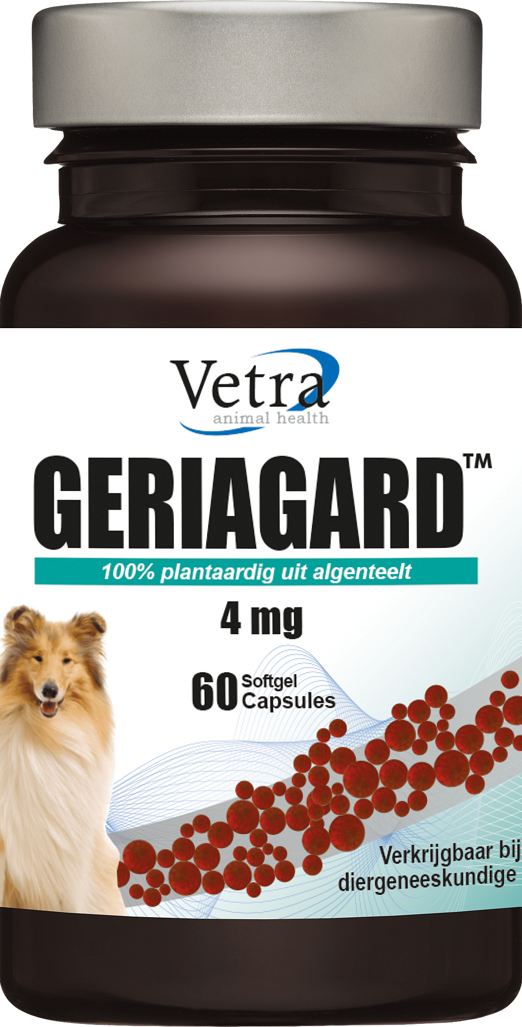 Vetra Geriagard Hond Kat 60 capsules