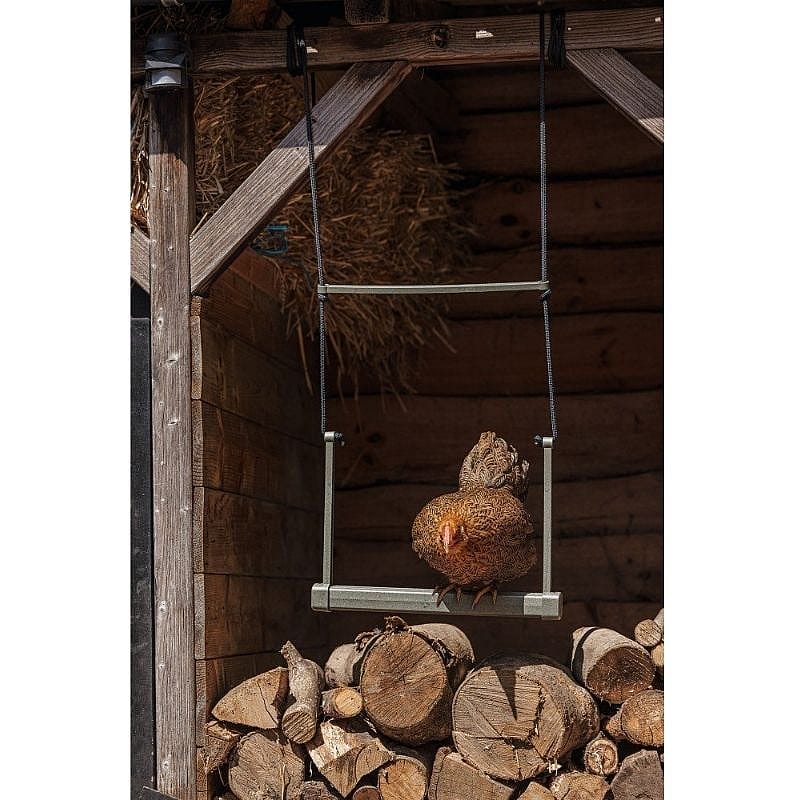 hen, chicken, wooden coop, nesting, firewood