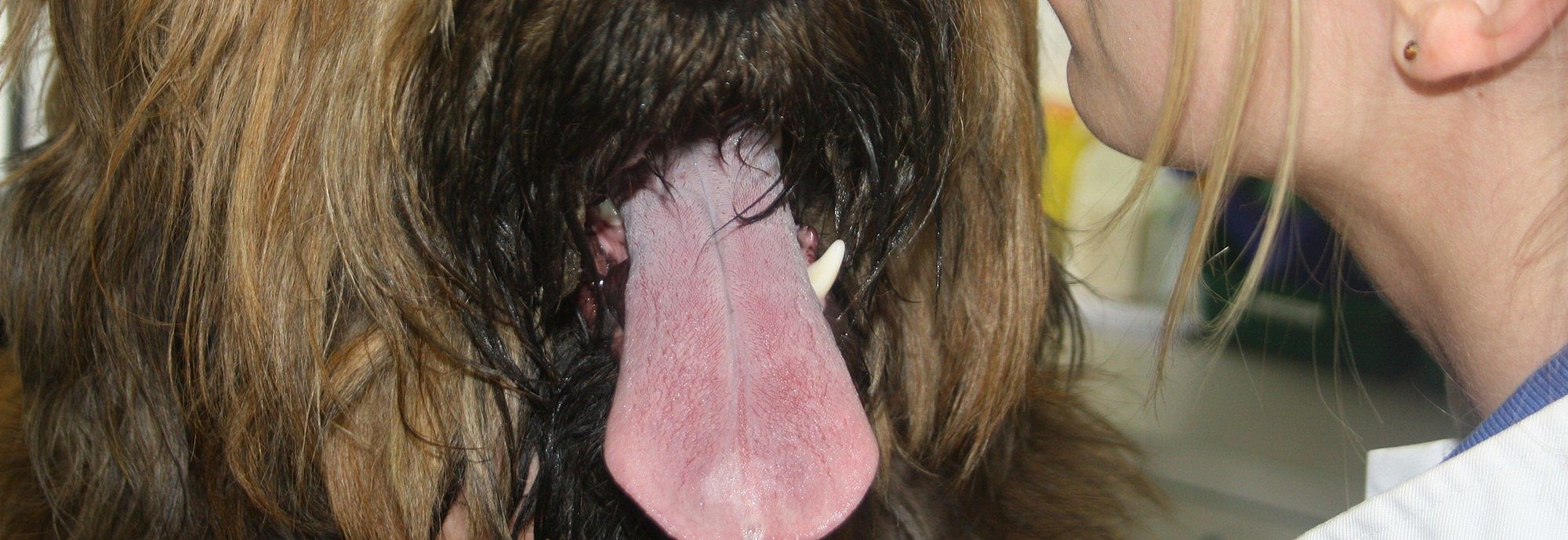 e55b6a56f848352902056024fd0aa2d1