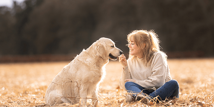 Hennepzaadolie-zalmolie-hond-dierapotheker