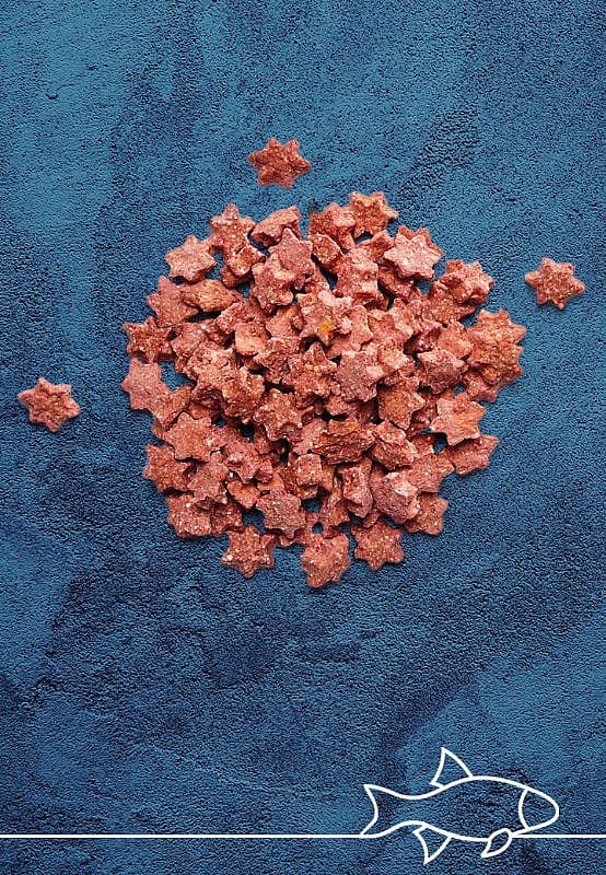 Vet-Concept Zalm Sterretjes 100 gram