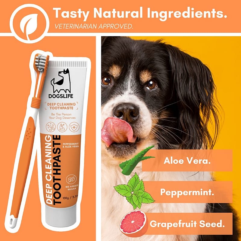 OurDogsLife Dental Kit Hond