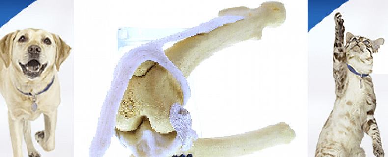 55c337e25791b55121bdb825ed724956