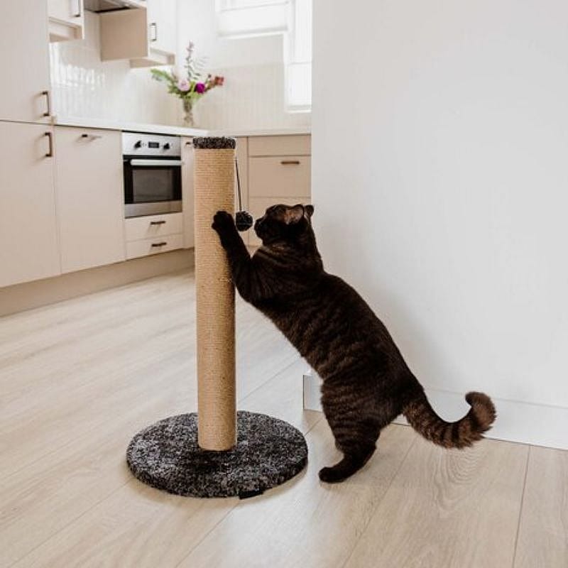 District 70 krabpaal DONNA 50 cm Kat Donkergrijs