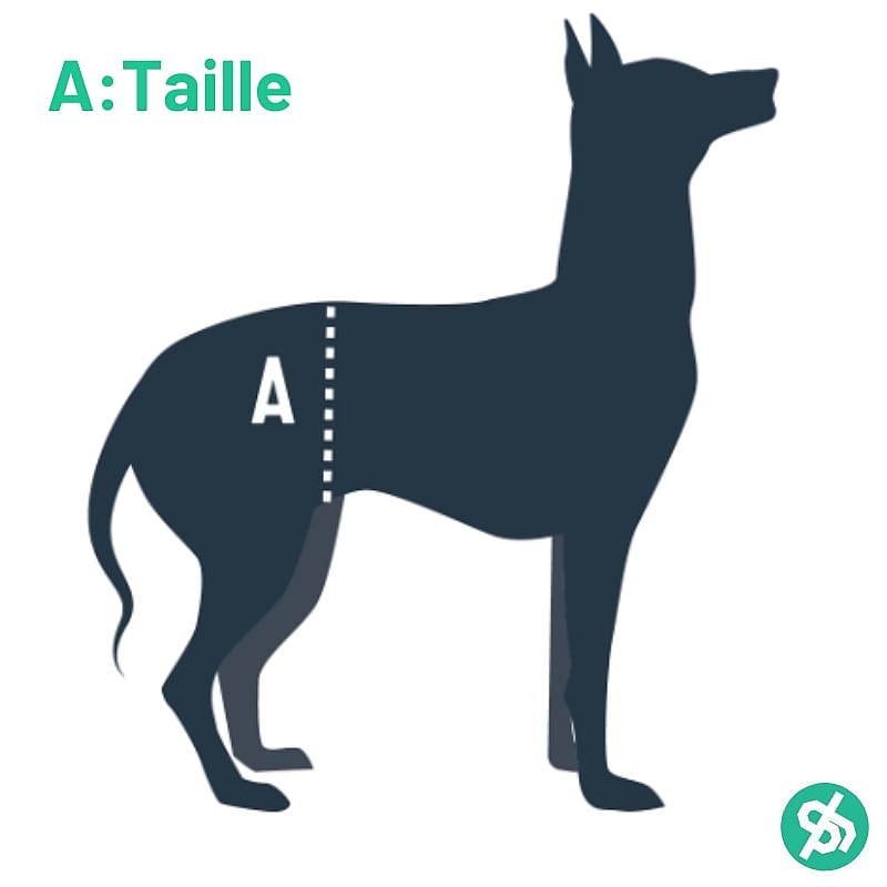 Carelift Hondentuig Achter