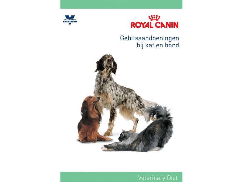 Royal Canin Dental Kat