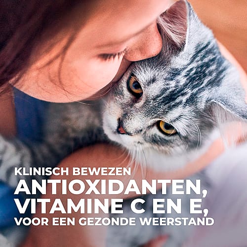 Hill's Science Plan Kittenvoer