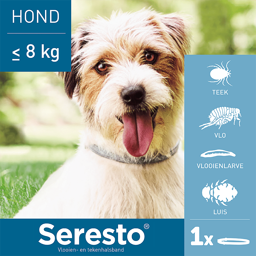 Seresto Halsband Hond: Vlooien en Teken Bescherming - 7 tot 8 maanden - Geurloos & Waterbestendig