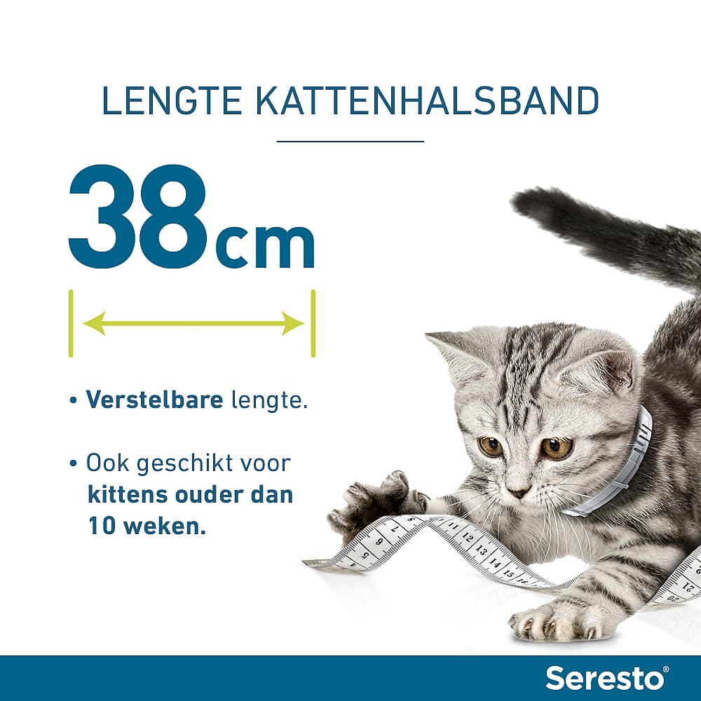 Seresto Halsband Kat: Vlooien en Teken Bescherming - 7 tot 8 maanden - Geurloos & Waterbestendig
