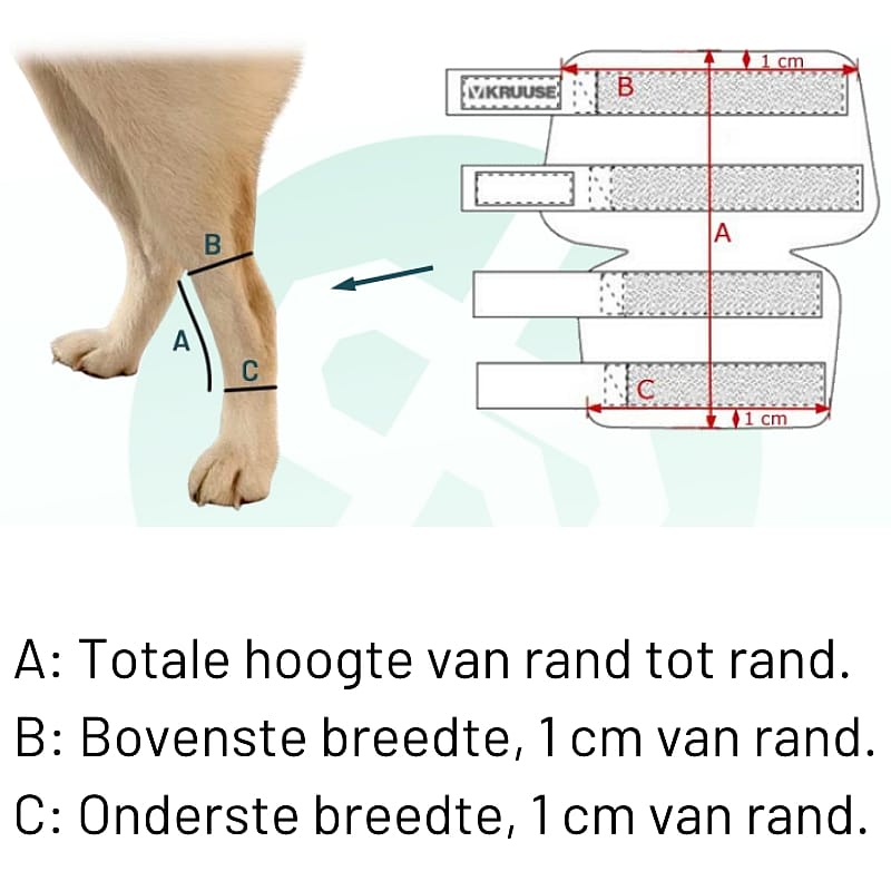Kruuse Rehab Hock (Tarsus) Protector