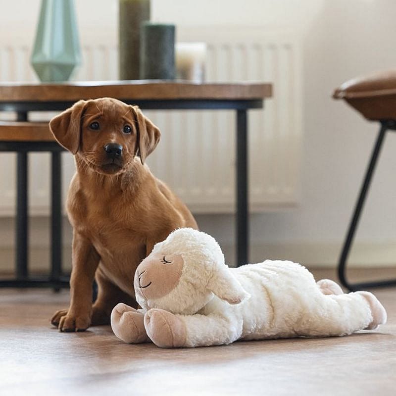 Beeztees Puppy Heartbeat Knuffel Bowi Hond