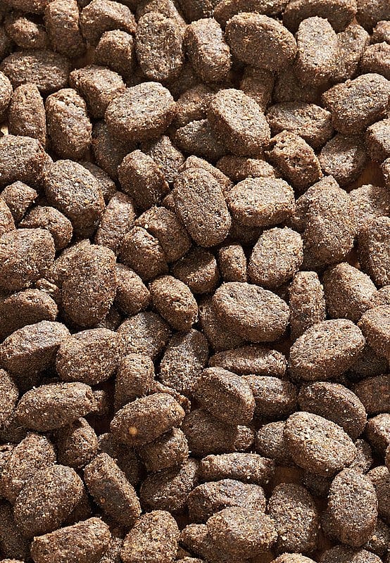 Vet-Concept Sana Buffel Hondenvoer 3 kg