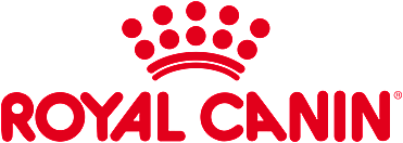 Logo, Licht, Logo, Licht