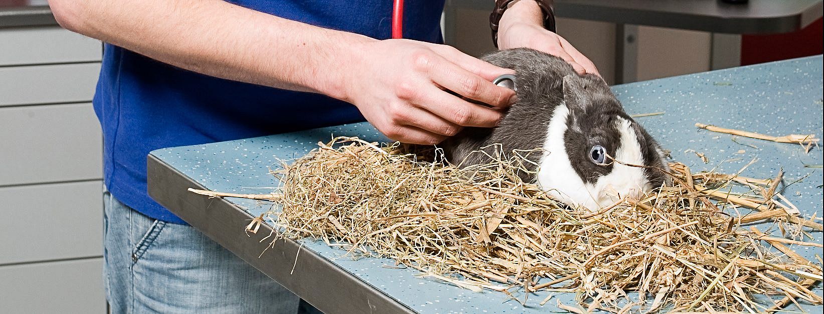 36015c37bbbc8c150137b2d9e74aebce