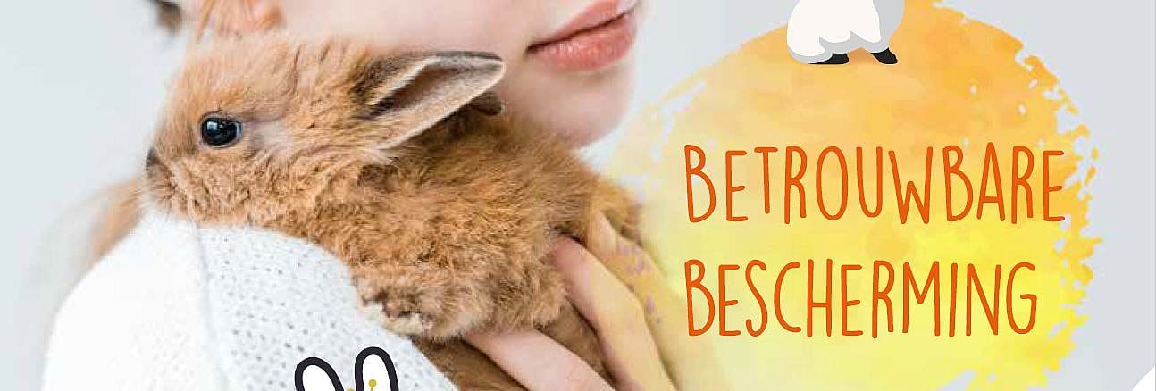 4a6d6d1c3d139b102b4206bba575724e