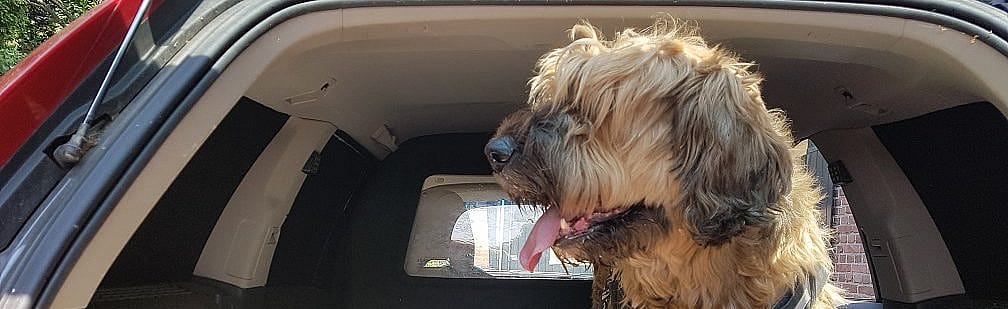 0c2adaaf417bfb0cac6542a513d2896d