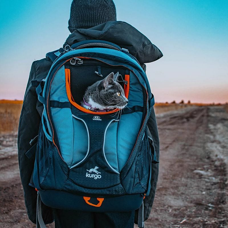 Kurgo G-Train Pack Rugzak Hond Navy