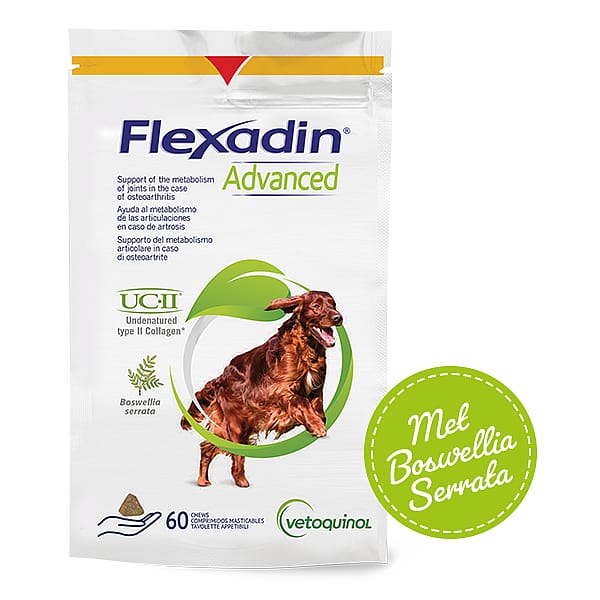Flexadin Advanced Hond