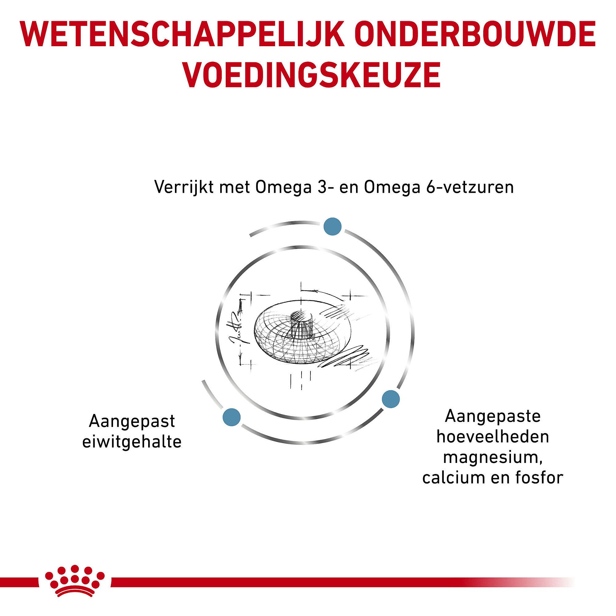 Royal Canin Skin & Coat Kat