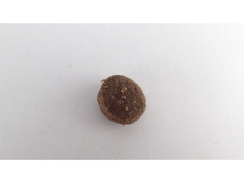 Calibra Dog Expert Nutrition Energy Chicken & Rice