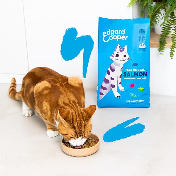 Edgard & Cooper Kattenvoer Adult Zalm Kat 325 gram