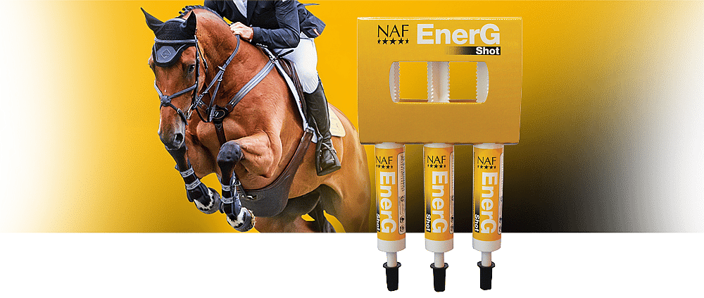 NAF EnerG – IJzersupplement voor sportpaarden met extra energiebehoefte