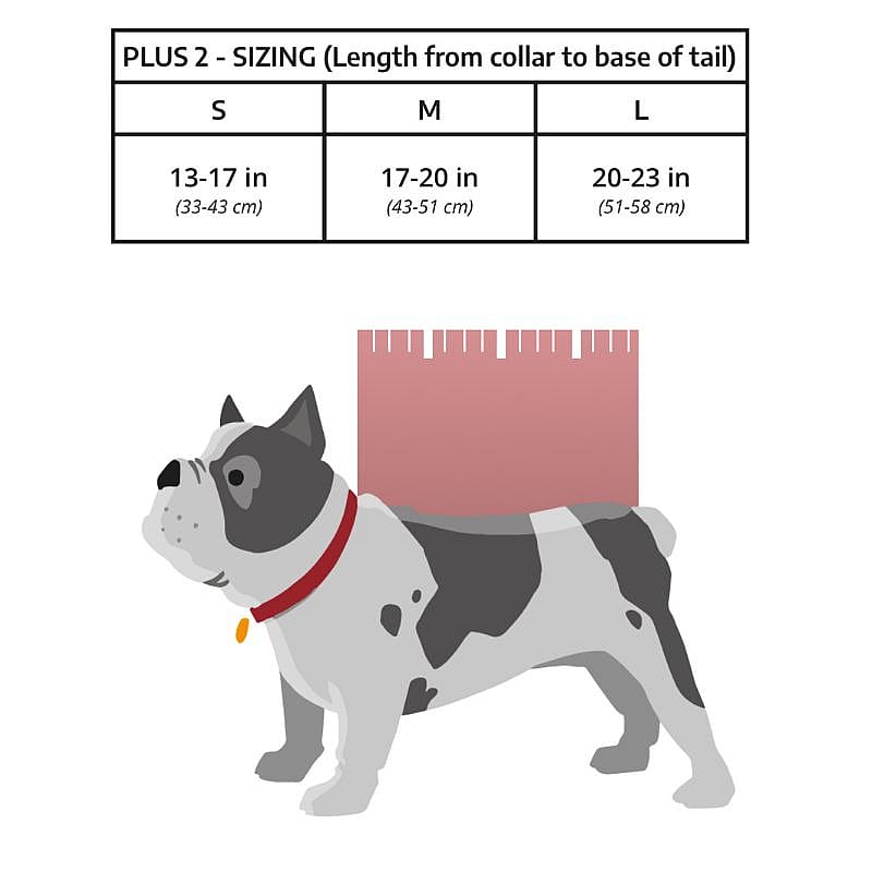 K9 Sport Sack PLUS 2 Rugzak Hond