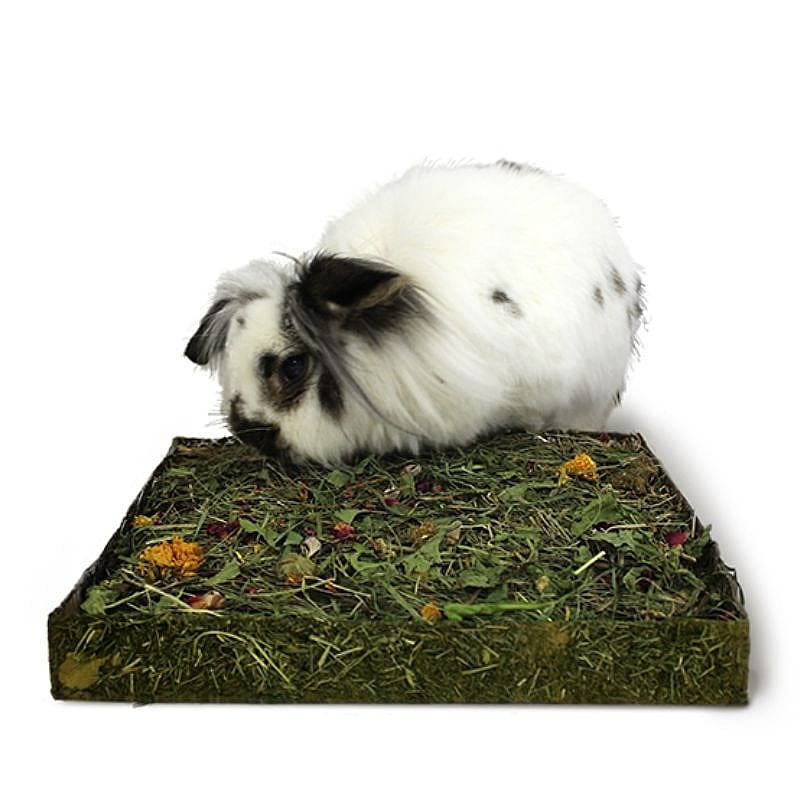 Rosewood Naturals Nibble 'n' Dig Weiland Konijn Knaagdier