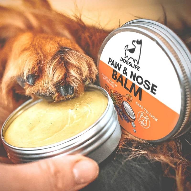 DogsLife Paw & Nose Balm Hond 60 ml