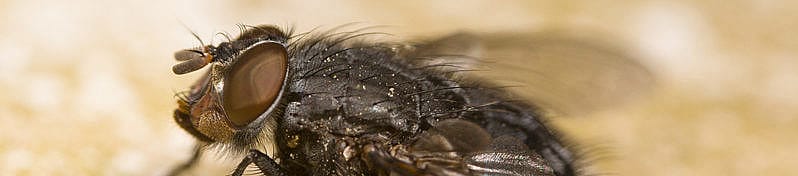 c5d63d556ddfb2dad4d494dbb380ff93