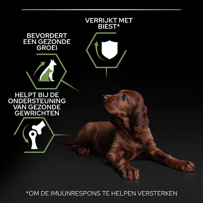 Purina-large-athletic-puppy-healthy-start-12kg-USPs Purina Pro Plan Large Athletic Puppy Healthy Start Hondenvoer 12 kg