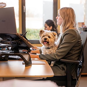 Toegankelijkheid-EAA-Dierapotheker