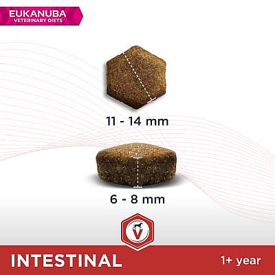 Eukanuba Intestinal Hondenvoer