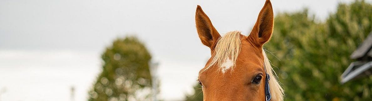 668227cd46903f93e1766d5e0bf8b8ed