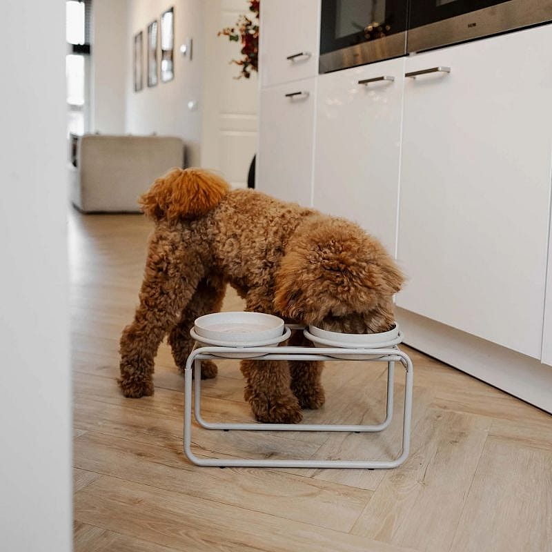 District 70 BUTLER Voerbakstandaard Hond Beige M