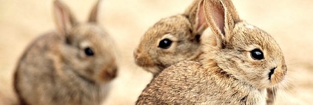 01a5129265d08bc9b0a4b3152e49f6cf