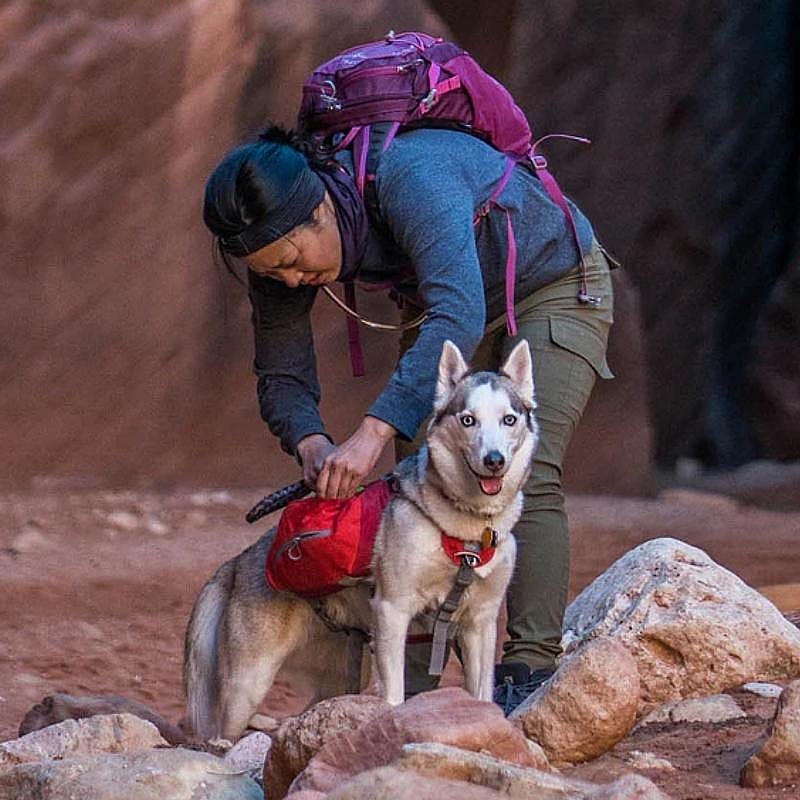 Kurgo Baxter Backpack Chili/Barn Red