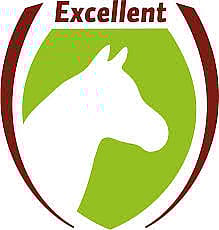 Logo, Munitie, Granaat, Wapen, Logo, Munitie, Granaat, Wapen