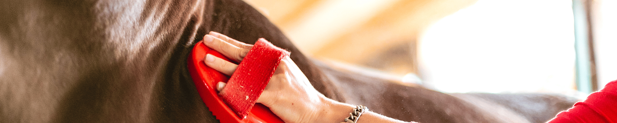 Kleding, Schoeisel, Schoen, Hoge hak