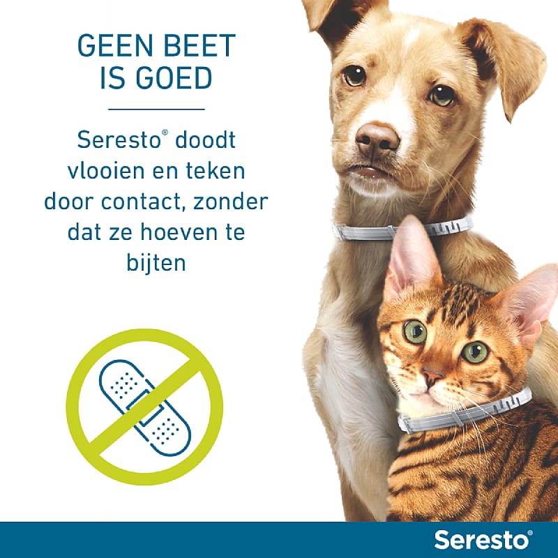Seresto Halsband Kat: Vlooien en Teken Bescherming - 7 tot 8 maanden - Geurloos & Waterbestendig 2-pack (2 halsbanden)