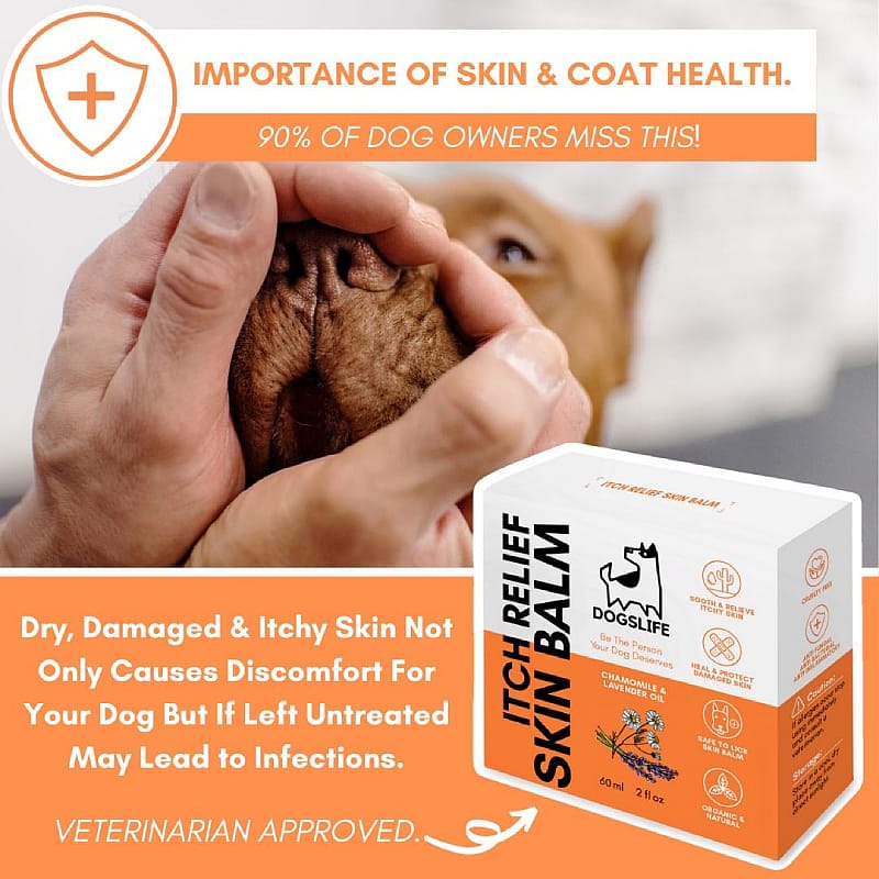 DogsLife Itch Relief Skin Balm Hond 60 ml