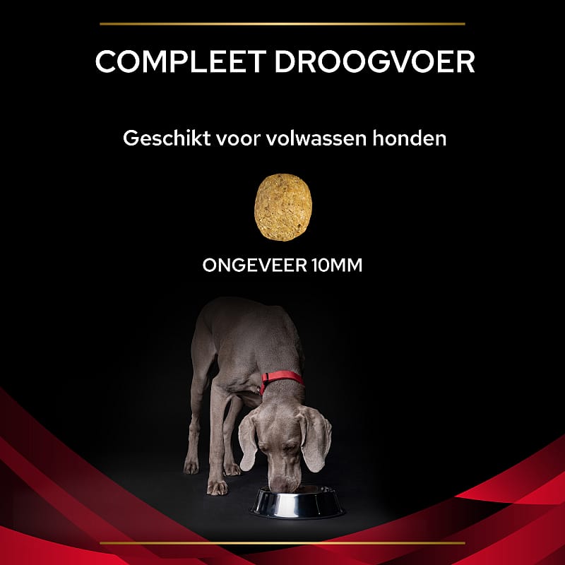 Purina Pro Plan Veterinary Diets Canine DM Diabetes Management Hondenvoer 3 kg