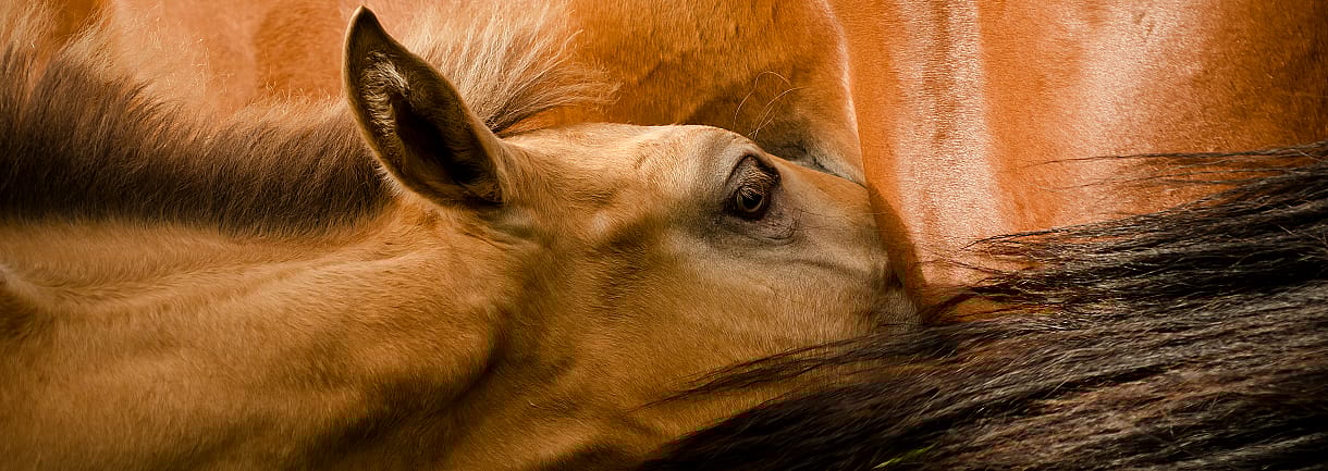 9a30f77b31562256e0fbf1fbb09dbd85